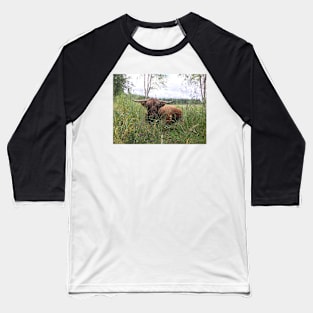 Scottish Highland Cattle Bull 1466 Baseball T-Shirt